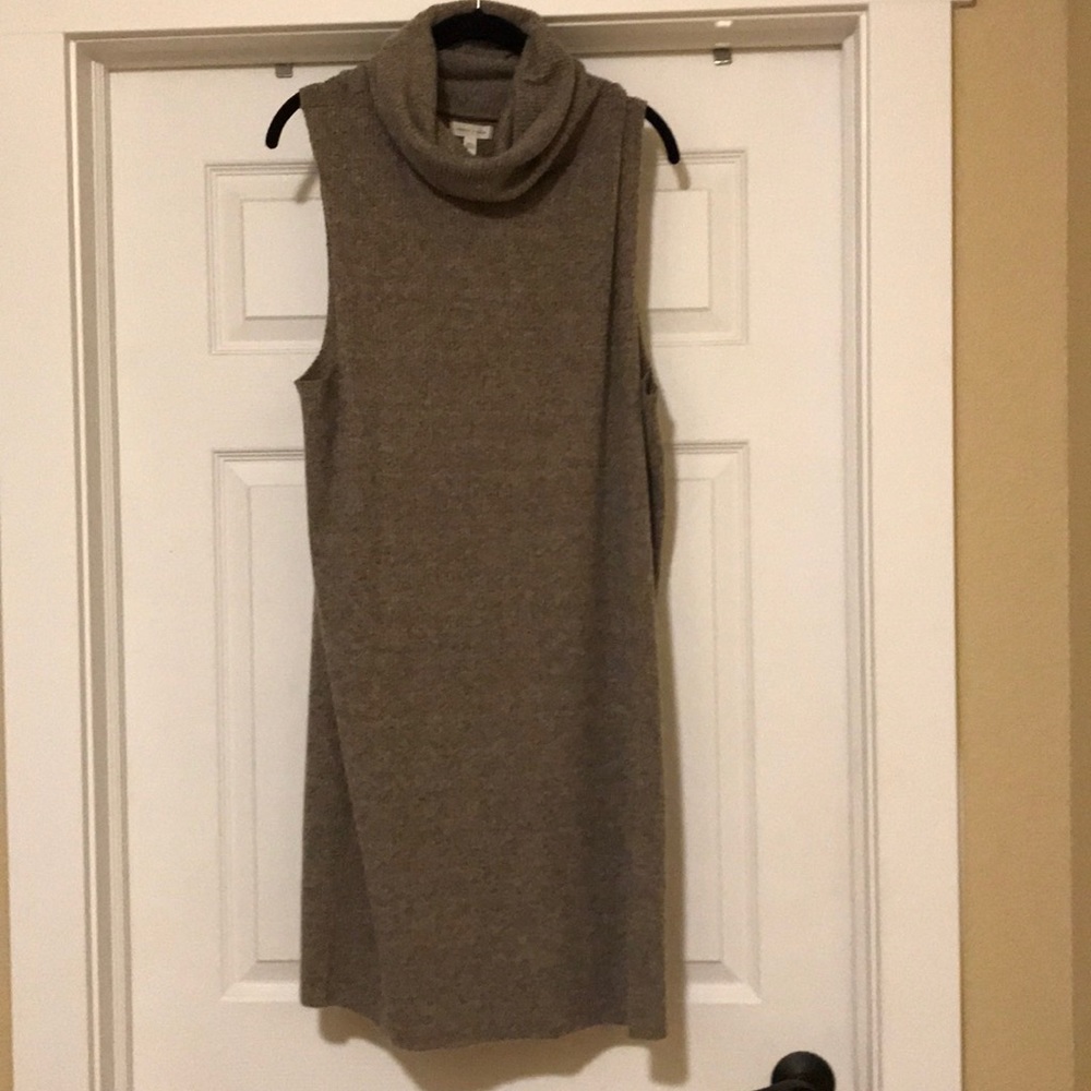 Silence + Noise Sleeveless Sweater Dress/Tunic